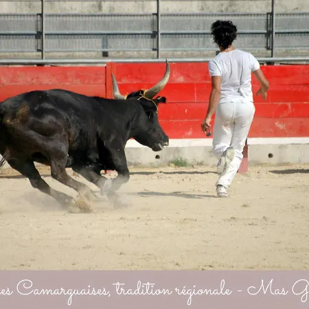 Mas Guiraud, Le Gaspardoux *