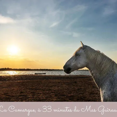 Hébergement de vacances Mas Guiraud, Le Gaspardoux *